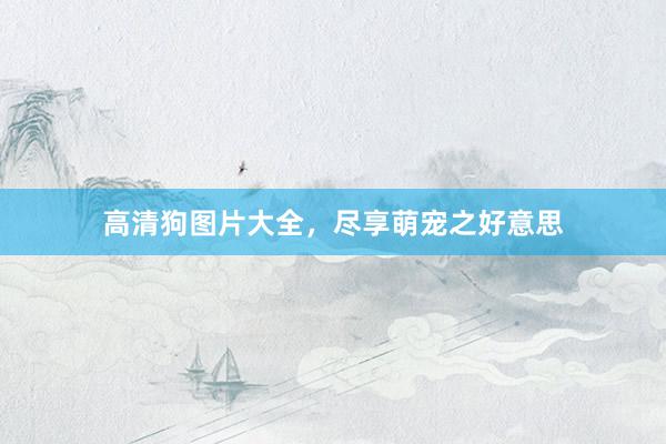 高清狗图片大全，尽享萌宠之好意思