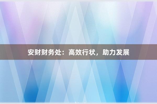 安财财务处：高效行状，助力发展